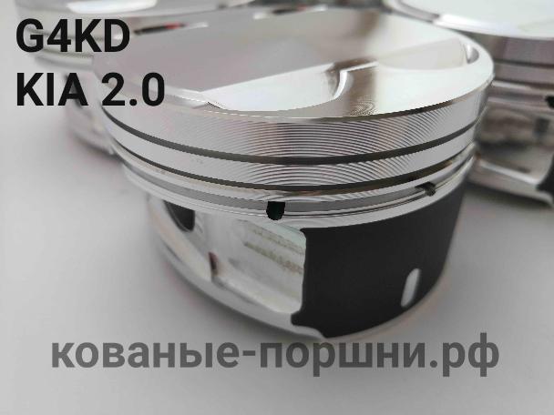 Поршни кованые СТИ 320.19 Ø86мм для G4KD